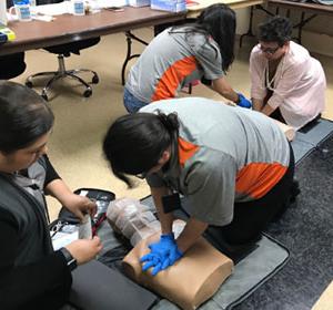 Employees practice chest compressions and rescue breaths during the CPR section of the American Red Cross course.